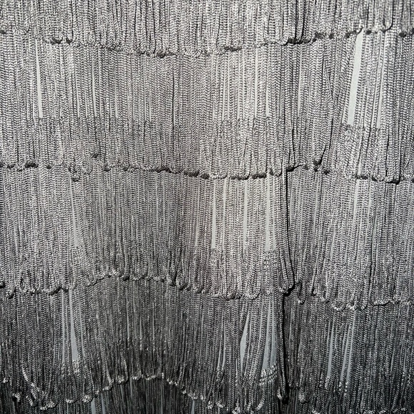 NWT H&M Fringe Flapper Dress Size Small - Picture 2 of 11